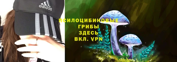 метадон Зеленодольск