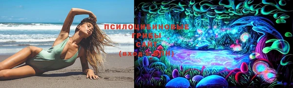 метадон Зеленодольск