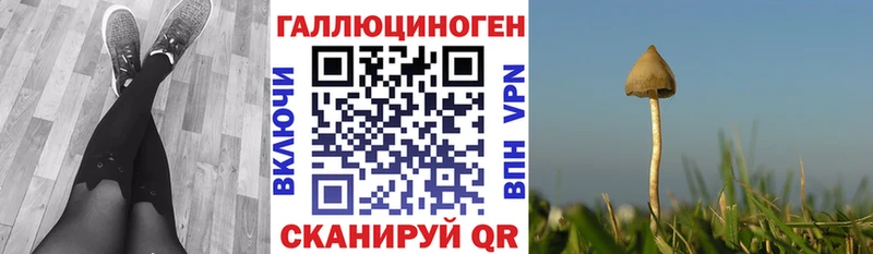Псилоцибиновые грибы MAGIC MUSHROOMS  Купить где  Карачев 