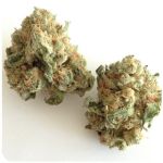 Шишки "White Widow"  (Белая вдова)  Гидропоника -  Бошка VHQ в Карачеве